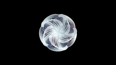 Flower 001 vj loop 720p with alpha Stock Footage 34502273