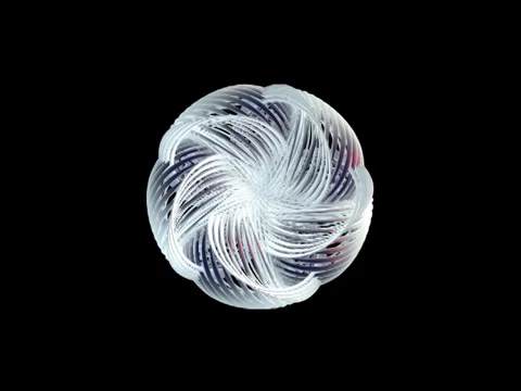 Flower 001 vj loop WEB with alpha Stock Footage 34502135