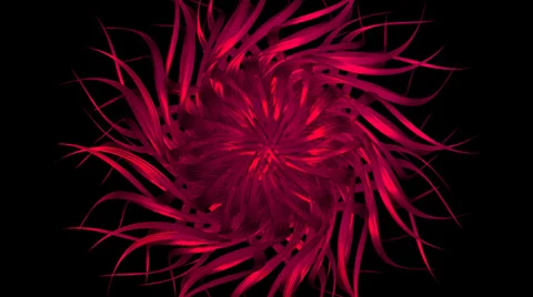 Flower 003 vj loop 1080p with alpha Vídeos de archivo 34506362