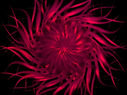 Flower 003 vj loop WEB with alpha Stock Footage 34506025