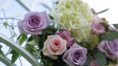 Flower 02 Stock Footage 105393218