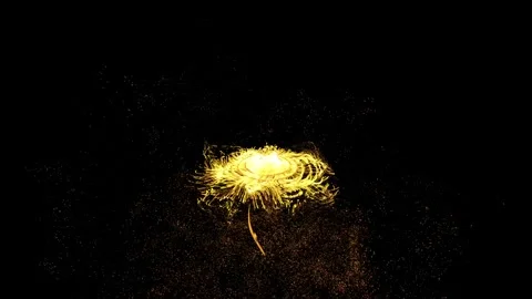 Flower 02 Stock Footage 270044777