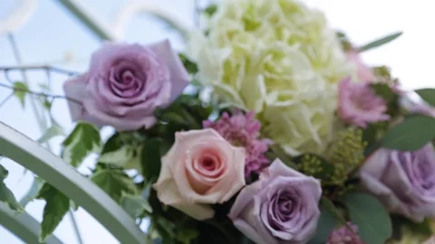 Flower 03 Stock Footage 105393187