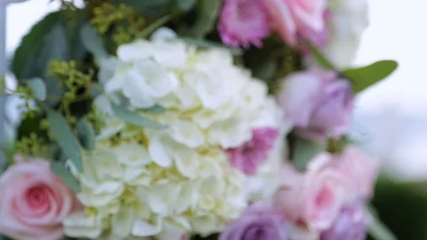 Flower 04 Stock Footage 105393157