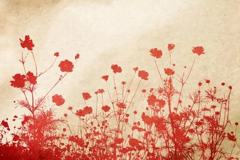 Flower abstract Stock-Fotos