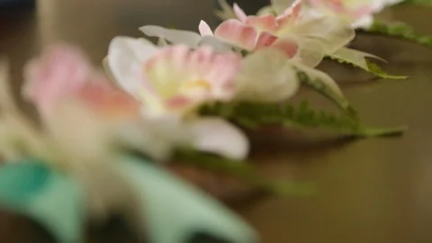 Flower accent Stock Footage 104767580
