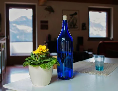 Flower and bottle Stock Photos