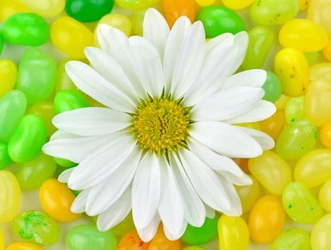 Flower and candy Stock Photos
