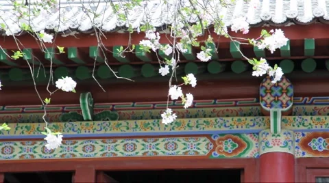 Flower and chinese building Stock Footage 887367