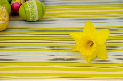 Flower and easter eggs Stock Photos