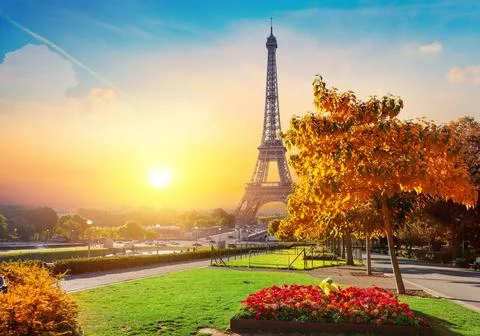 Flower and Eiffel Tower Stockfoto's