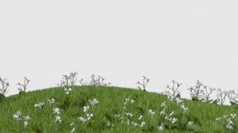 Flower and Grass Stock-Footage 315036657