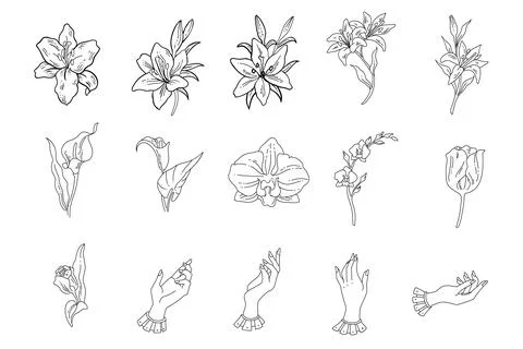 Flower and hand element set of icon Stock Illustration