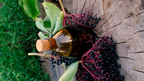 Flower and herbal extract in a bottle. Selective focus. Stock Footage 289835409