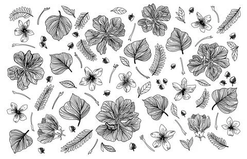 Flower and leaf element Stock Illustration
