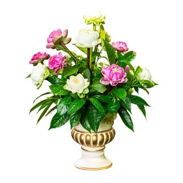 Flower and leaf in vase Stock Photos