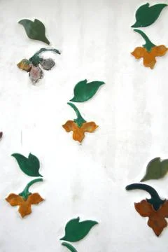 Flower and leaf on white background with stain. Stock Photos