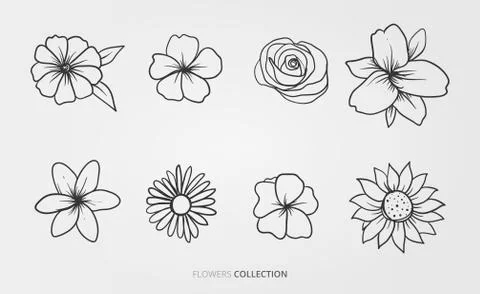 Flower and nature vector set Stock Illustration