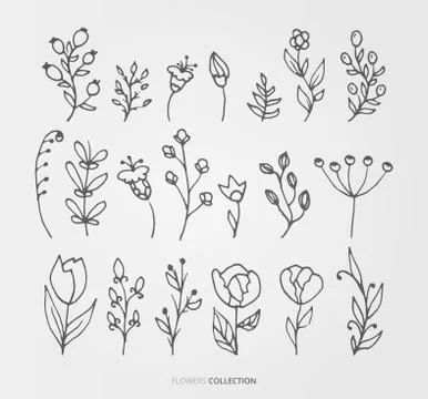 Flower and nature vector set Stock Illustration
