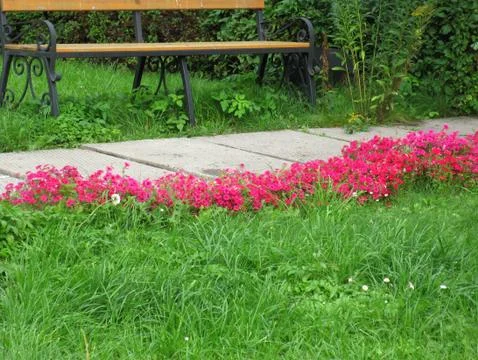 Flower and path Stock Photos