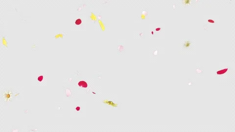 Flower and Petals Falling Loop Stock Footage 259693838