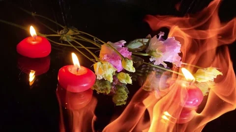 Flower and red candle burning on black background. Stock Footage 252138112