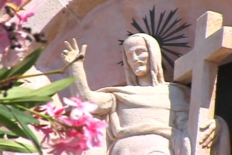 Flower and Statue Stock Footage 305659