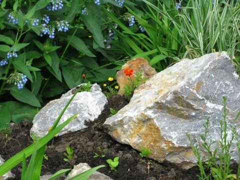 Flower and stone Stock Photos