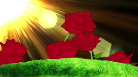 Flower And Sun Stock Footage 45969946