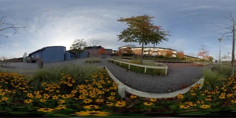Flower and Tree at Small Town Square, 360 VR Stock Footage 163896163