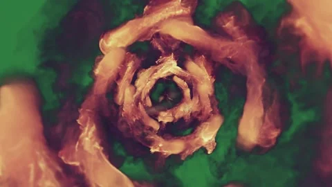 Flower Animated - Stock Video Element Stock Footage 338012800