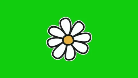 Flower animation animation on green screen 動画素材 329140101