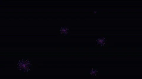 Flower animation on black background Stock Footage 807125