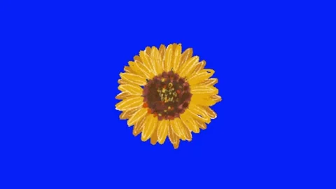 Flower animation on blue screen Vidéo 329393418