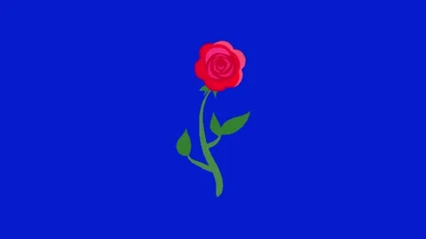 Flower animation on blue screen Vidéo 329393420