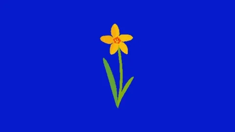 Flower animation on blue screen 動画素材 329393421
