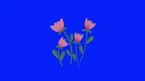 Flower animation on blue screen Vidéo 329393422