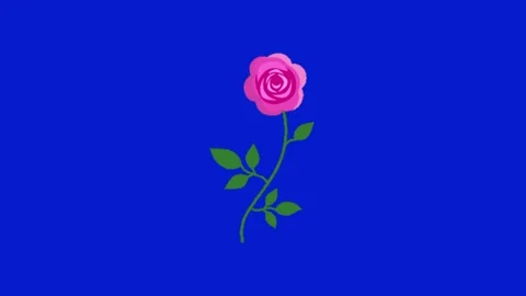 Flower animation on blue screen Vídeos de archivo 329393452