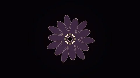 Flower animation on a dark background with simple shapes Stock Footage 340299519