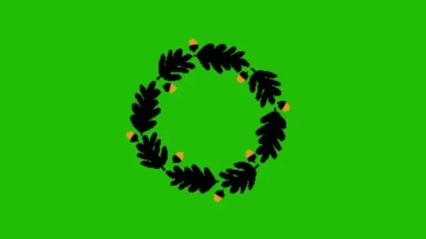 Flower animation on green screen Vidéo 328229033