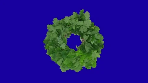 Flower animation on green screen Vidéo 328229034