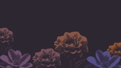 Flower Animation Montage with Stop Motion Retro Style and Halftone Texture Stock Footage 299530195