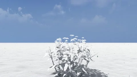 Flower Animation in Snowfall Stock Footage 329046877