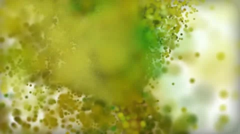 Flower animation for you logo Stock Footage 10811183
