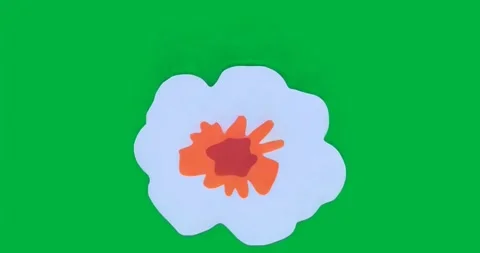 Flower appearing on transparent backdrop holding center while shimmering petal Stock Footage 317362224