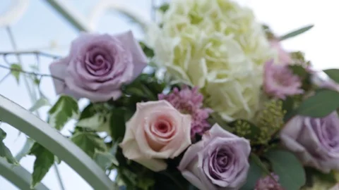 Flower arc Stock Footage 104767064