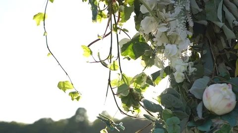 Flower arch in the sun Stock Footage 117538956