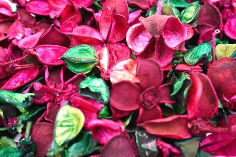 Flower/ Aromatherapy/ Background/ Pink/ Green Stock Photos