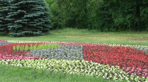 Flower Arrangement 2 Vídeos de archivo 7130289