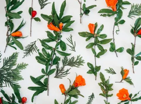 Flower arrangement in a circle. a pattern of red and orange flowers on a white Stock Photos